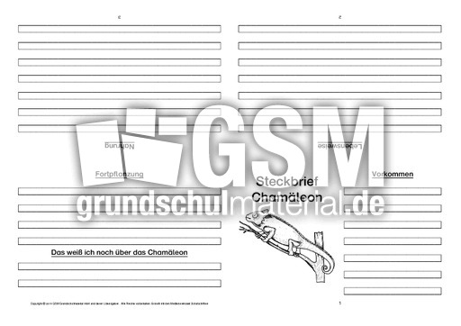 Chamäleon-Faltbuch-vierseitig-2.pdf